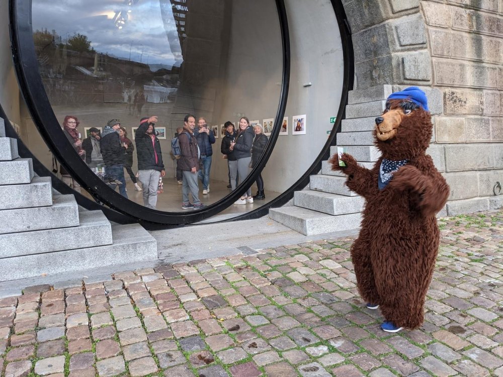 WHY NOT THE BEAR? #onTheRoad – © Marketa Bendova