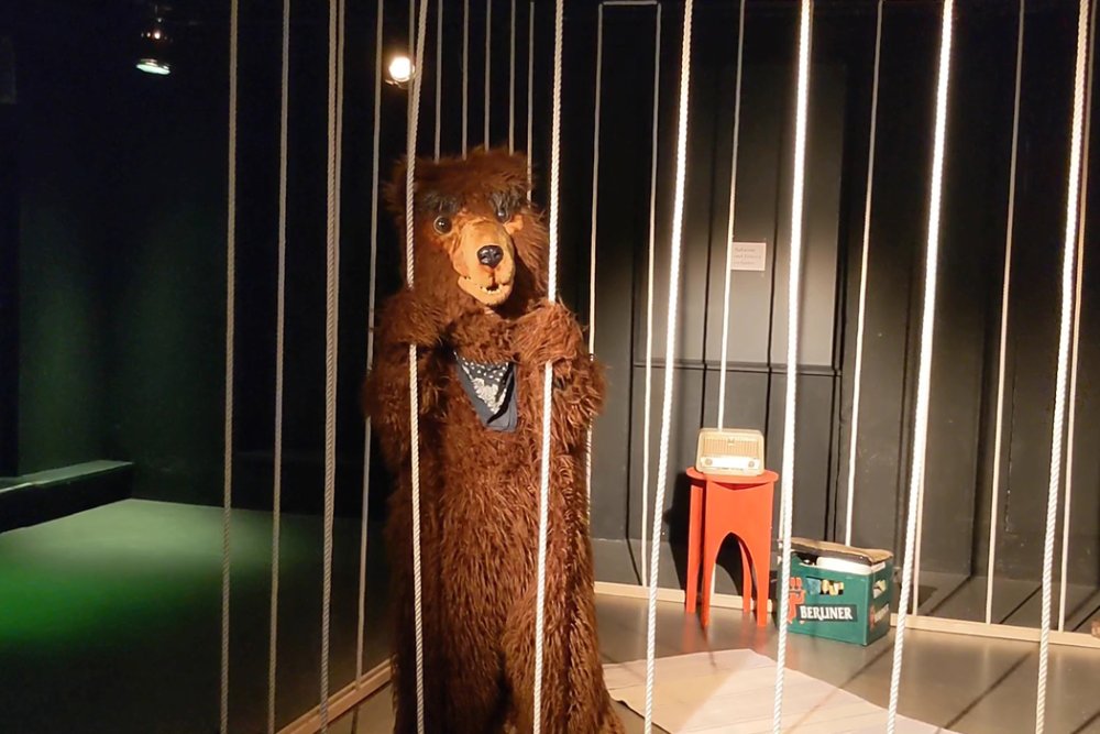 WHY NOT THE BEAR? #theCage – © Otto Richard