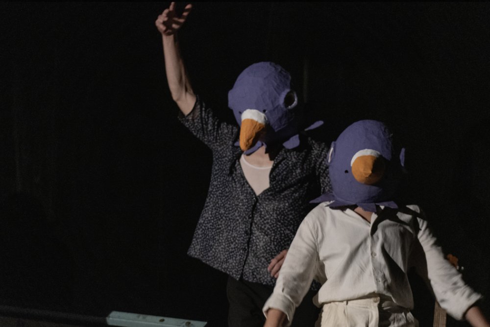 Montréal ‘76 and Guadalajara ‘29 – © The Pigeon Ambassadors of Hope and Magic